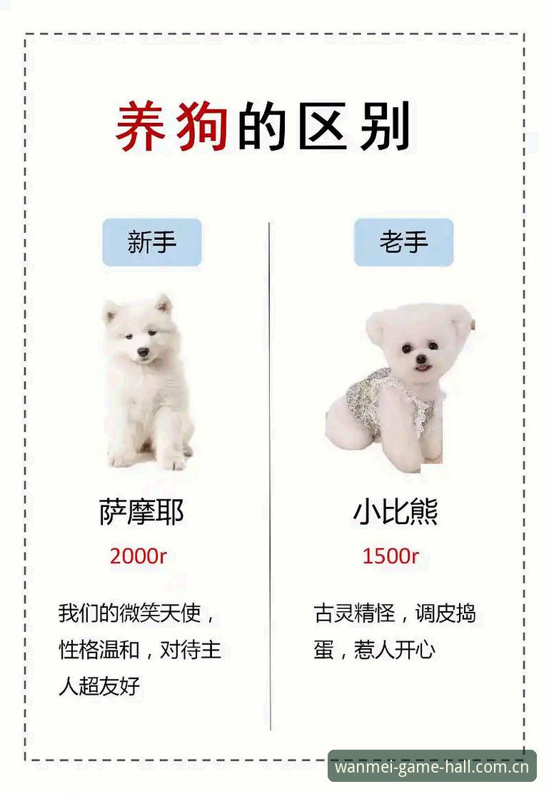 完美体育平台安卓下载全流程深度解析：从新手到老手的实用指南